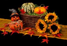 Trick or Treaters Could Cause Panic Attacks to Unsuspecting Phobia Sufferers This Halloween