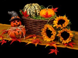 Trick or Treaters Could Cause Panic Attacks to Unsuspecting Phobia Sufferers This Halloween