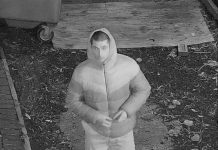 Police hunt for paedophile after boy attacked in his bedroom