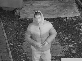 Police hunt for paedophile after boy attacked in his bedroom