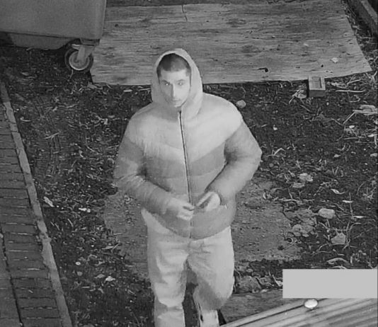 Police hunt for paedophile after boy attacked in his bedroom